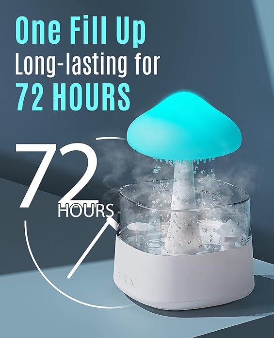 RAIN CLOUD HUMIDIFIER