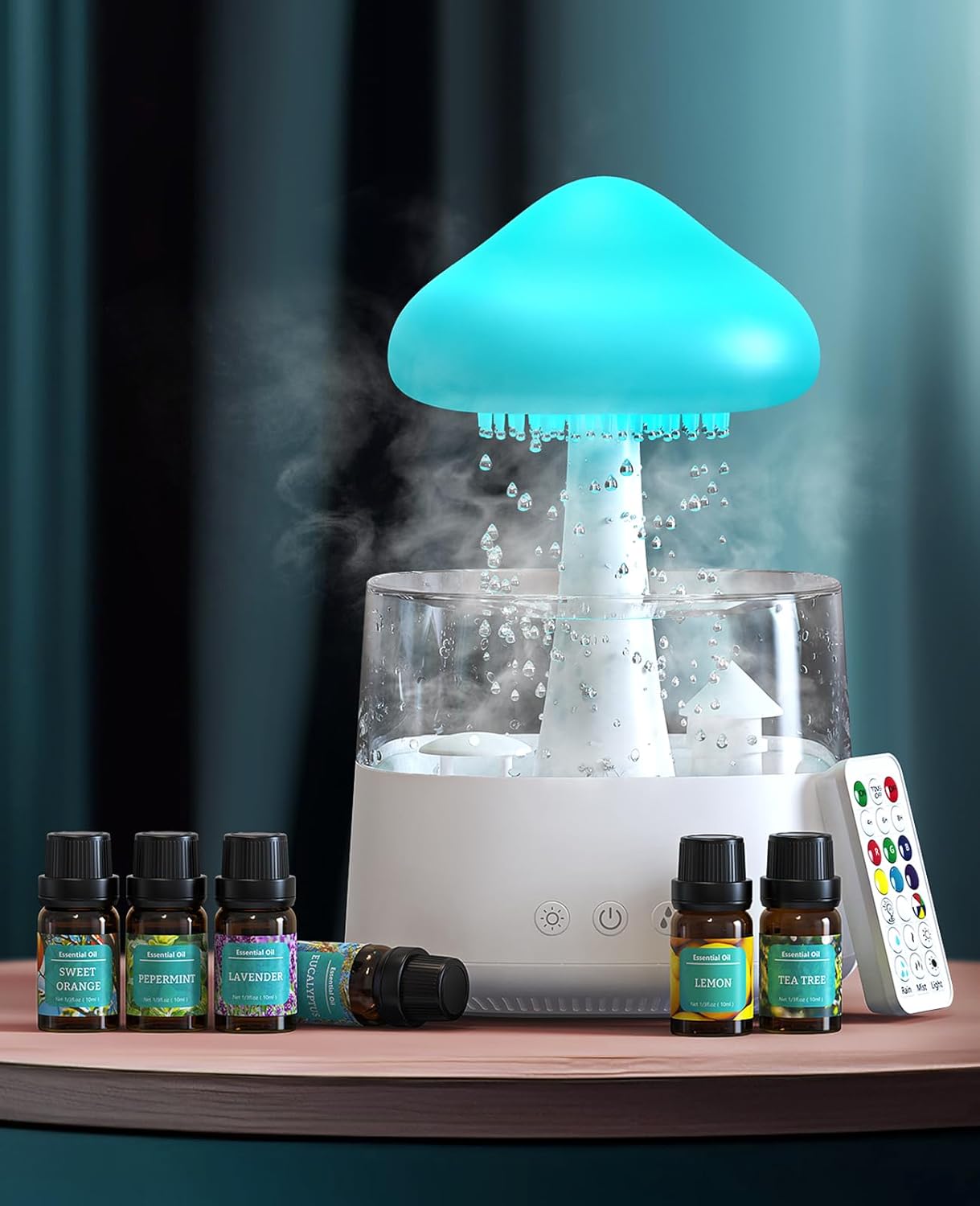 RAIN CLOUD HUMIDIFIER