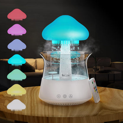 RAIN CLOUD HUMIDIFIER