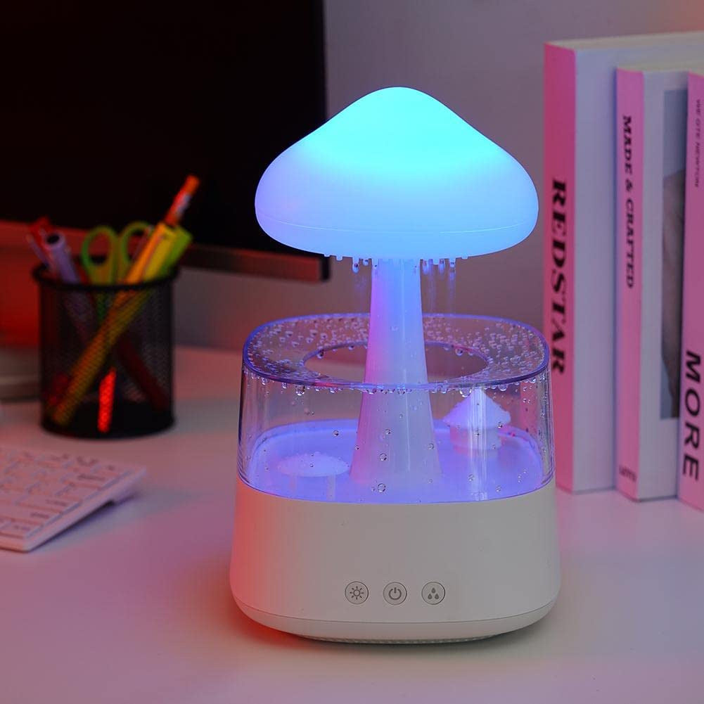 RAIN CLOUD HUMIDIFIER