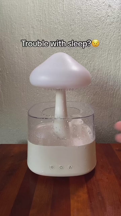 RAIN CLOUD HUMIDIFIER